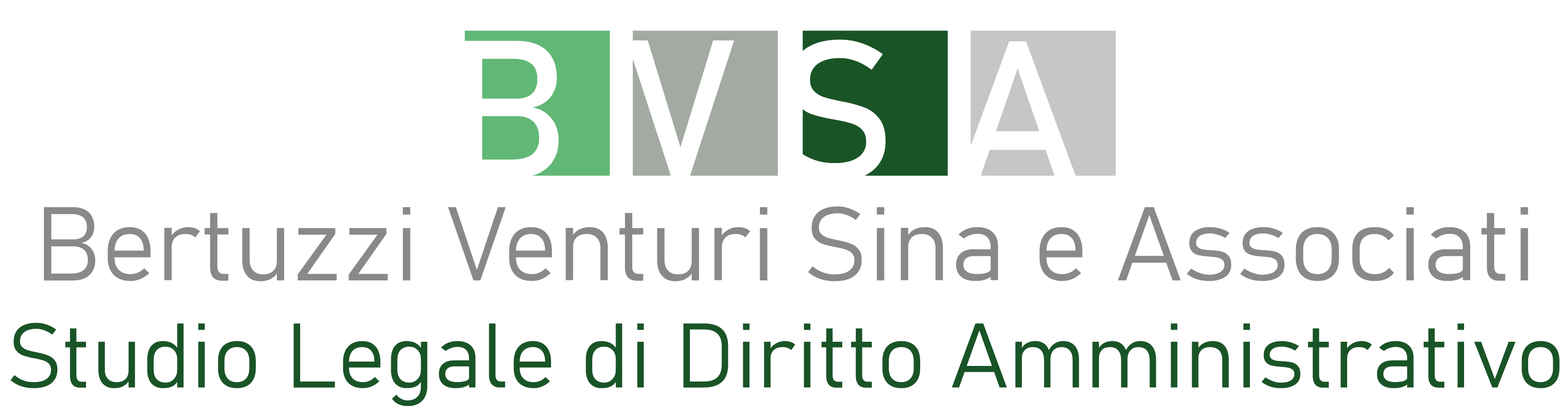 Logo-BVSA_Tavola-disegno-1-copia-2.png